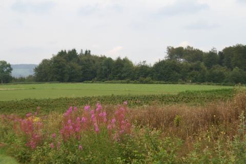 Espaces naturels