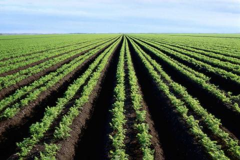 Terres agricoles  NTF  Propriétaires ruraux de Wallonie