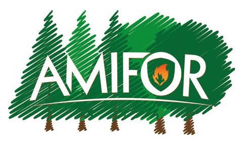 Amifor-logo2