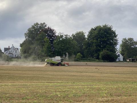 Travaux agricoles Travaux agricoles