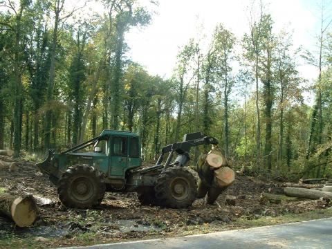 Débardage en forêt_credit photo Frederic Petit Débardage en forêt_credit photo Frederic Petit