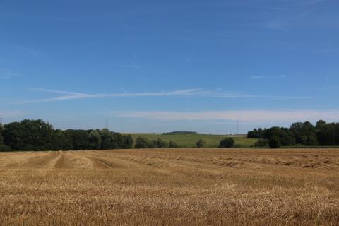 Paysage rural