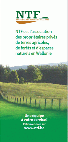 Leaflet NTF 2024