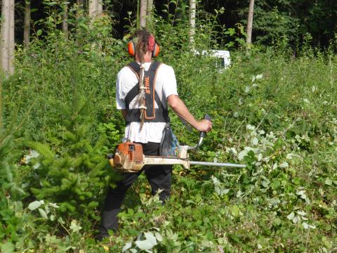 Degagement forestier2