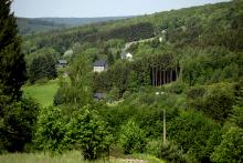 Forêt vue du dessus Forêt vue du dessus