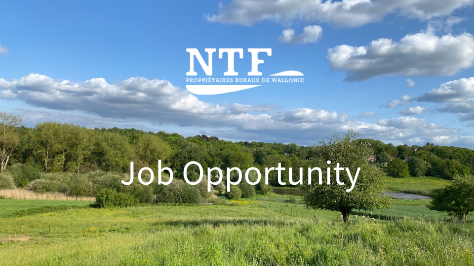 NTF Job Opportunity