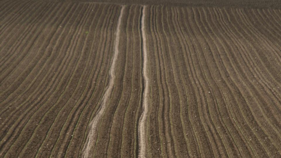Sillons agricoles