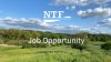 NTF Job Opportunity