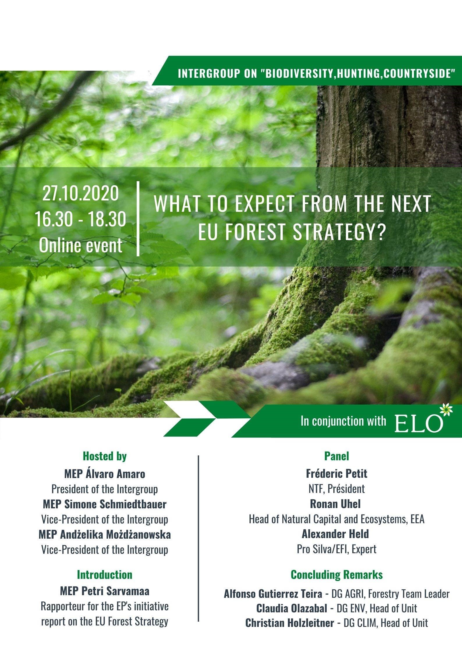 Next EU forest strategy ?