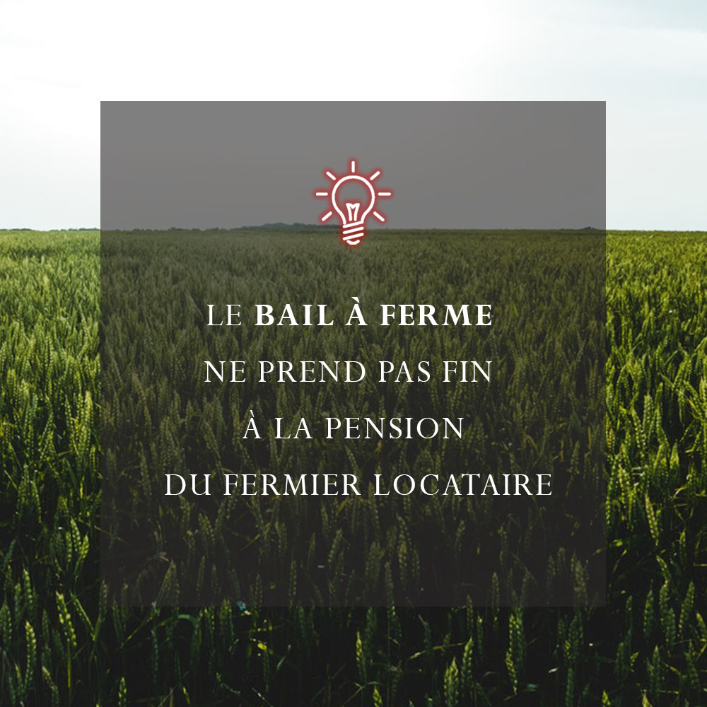 Bail a ferme ne se termine pas avec mort locataire Bail a ferme ne se termine pas avec mort locataire