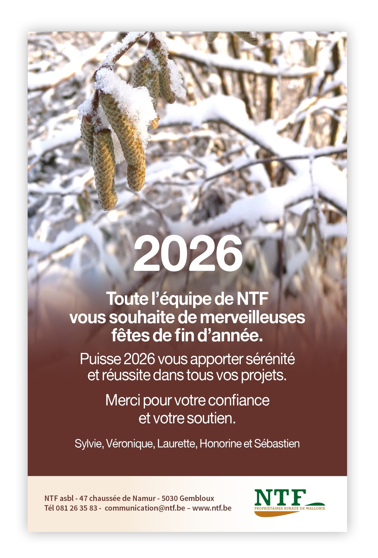 Meilleurs Voeux de NTF pour 2026 !