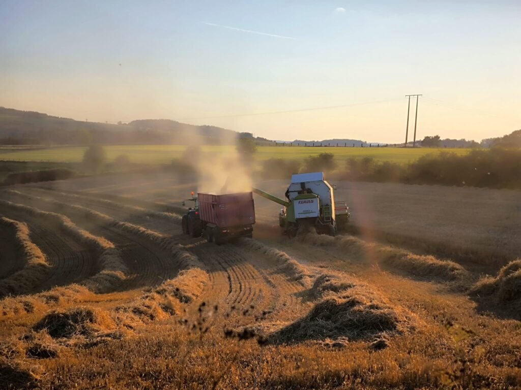 Moisson sur les terres de la ferme