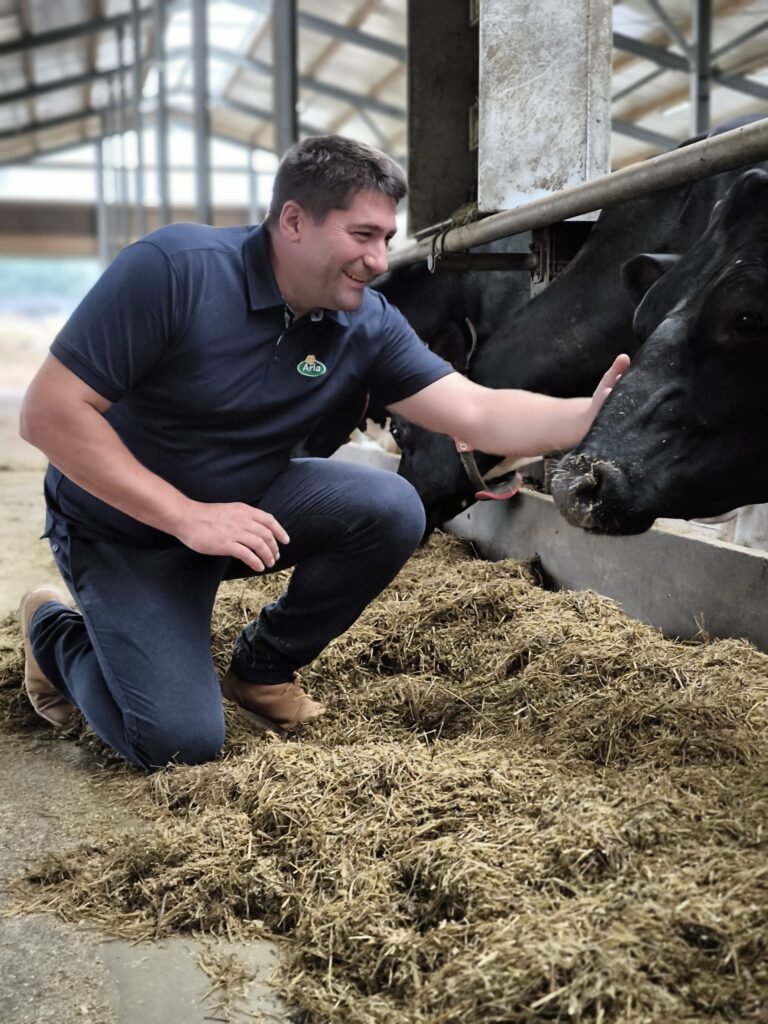 Dans l’étable, auprès des vaches laitières
