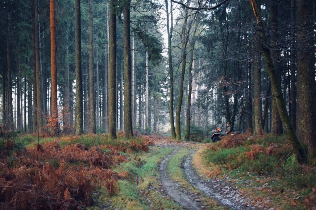 Décret sanitaire forestier : un plaidoyer entendu !