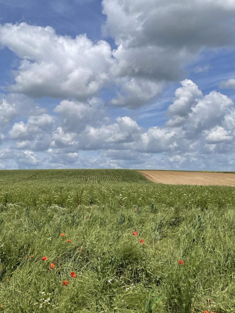 Terres agricoles vallonnées en Wallonie sous un ciel nuageux, enjeu du foncier rural