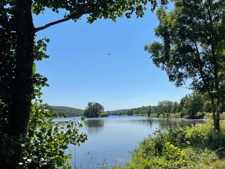 Etang de Roly restauré