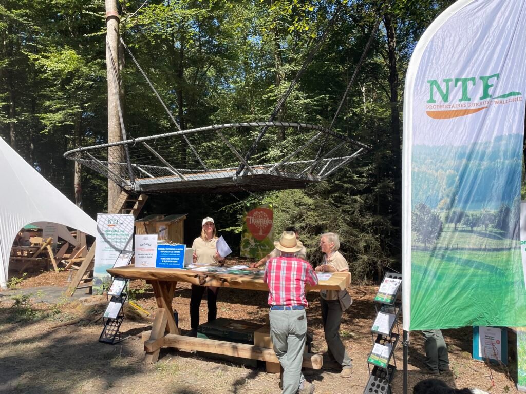 NTF à Demo Forest