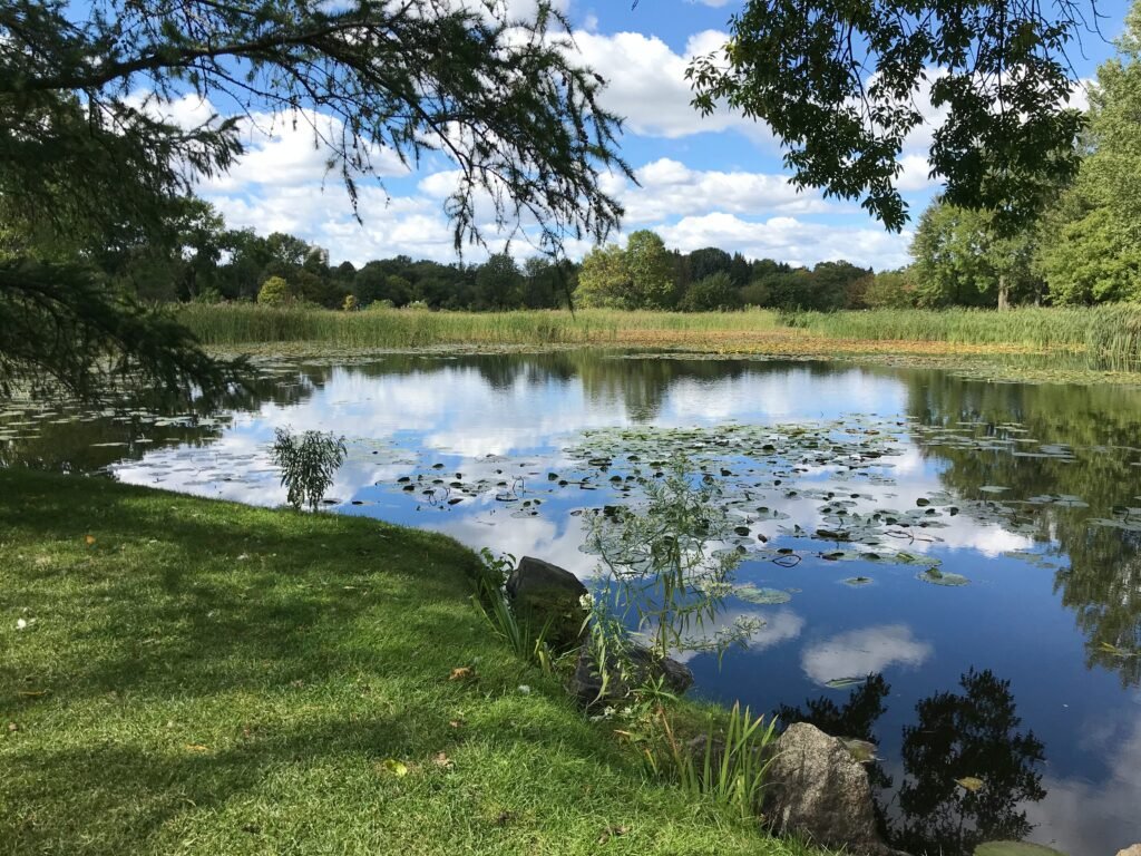 Au bord du lac